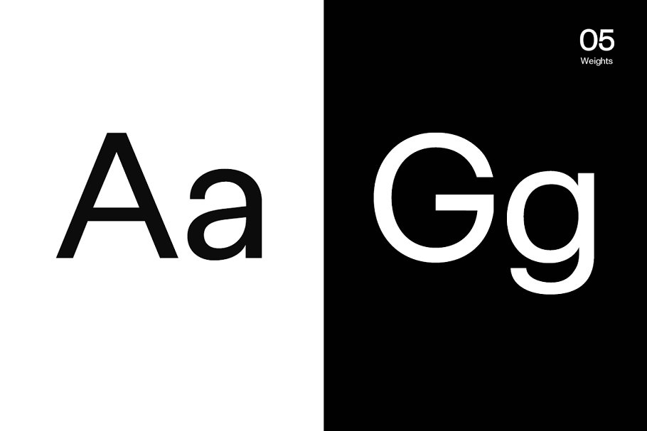 Exensa Grotesk